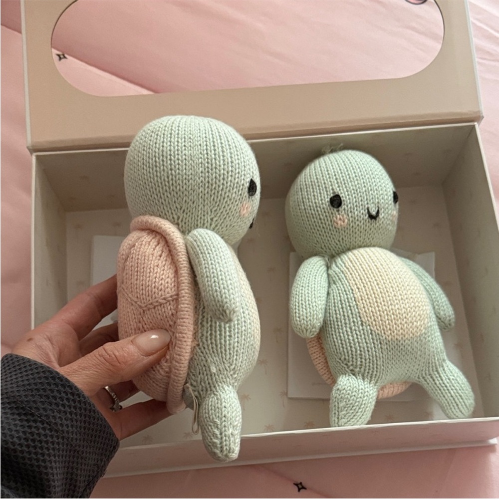 Adorable Knit Turtle Plush Set